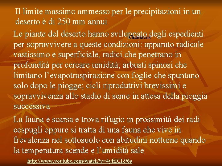 Il limite massimo ammesso per le precipitazioni in un deserto è di 250 mm