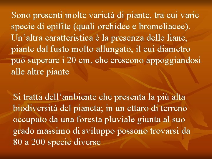 Sono presenti molte varietà di piante, tra cui varie specie di epifite (quali orchidee