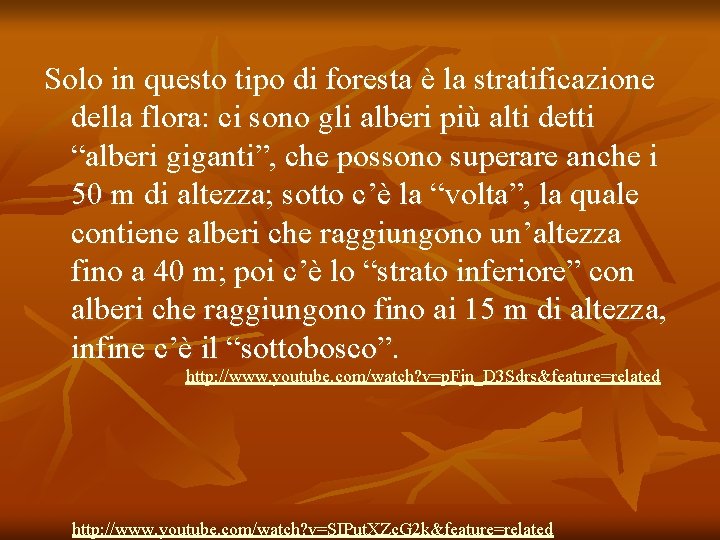 Solo in questo tipo di foresta è la stratificazione della flora: ci sono gli