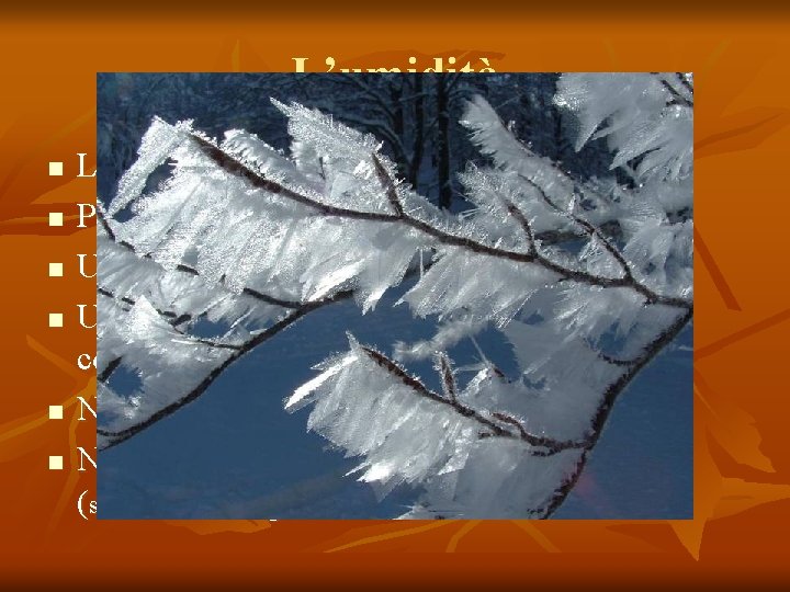 L’umidità n n n L’umidità e dovuta a: Presenza di masse d’acqua e temperatura