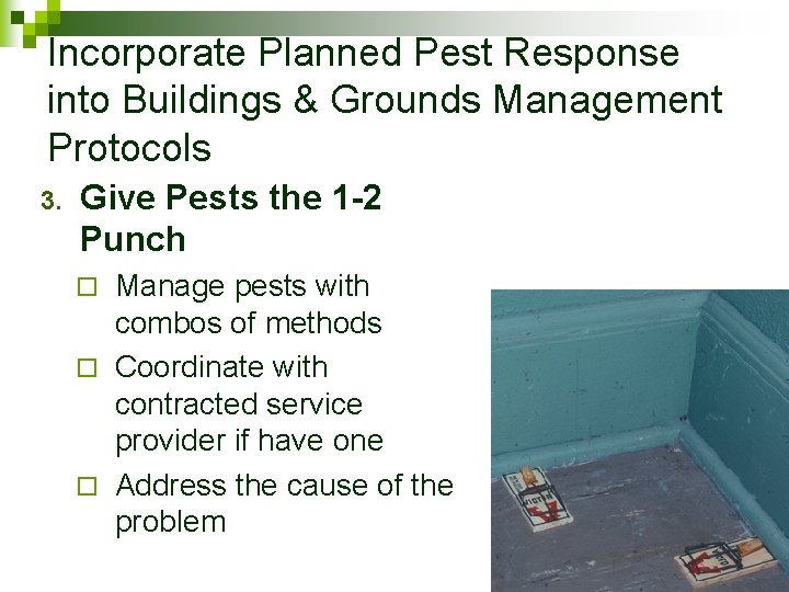 Incorporate Planned Pest Response into Buildings & Grounds Management Protocols 3. Give Pests the