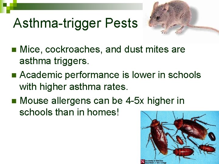 Asthma-trigger Pests Mice, cockroaches, and dust mites are asthma triggers. n Academic performance is
