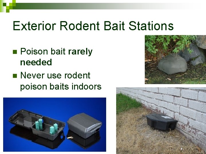 Exterior Rodent Bait Stations Poison bait rarely needed n Never use rodent poison baits