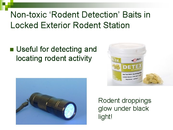 Non-toxic ‘Rodent Detection’ Baits in Locked Exterior Rodent Station n Useful for detecting and