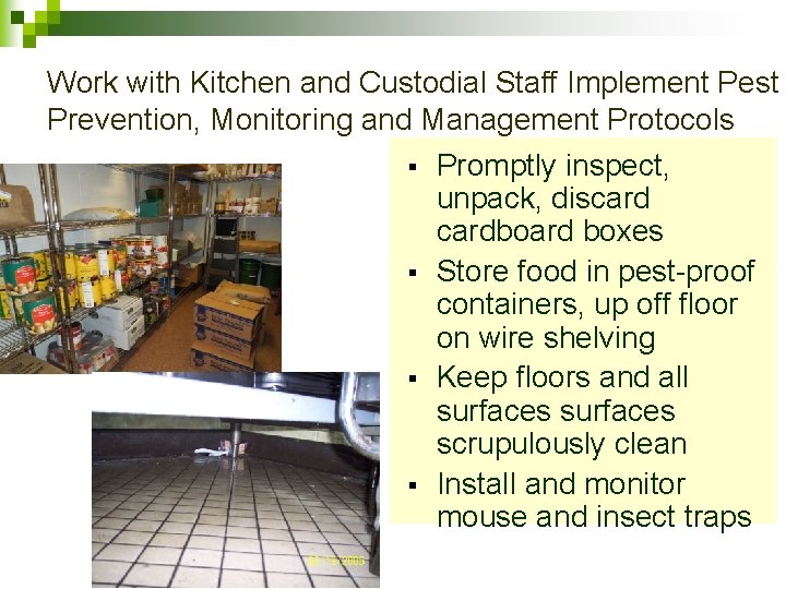 Work with Kitchen and Custodial Staff Implement Pest Prevention, Monitoring and Management Protocols §