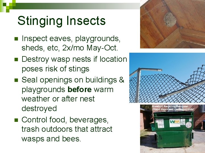 Stinging Insects n n Inspect eaves, playgrounds, sheds, etc, 2 x/mo May-Oct. Destroy wasp
