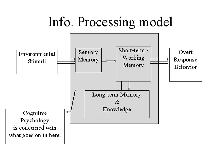 Info. Processing model Environmental Stimuli Cognitive Psychology is concerned with what goes on in