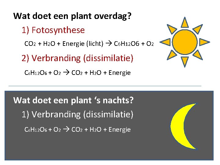 Wat doet een plant overdag? 1) Fotosynthese CO 2 + H 2 O +