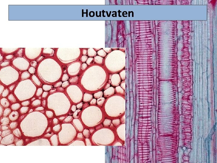 Houtvaten 