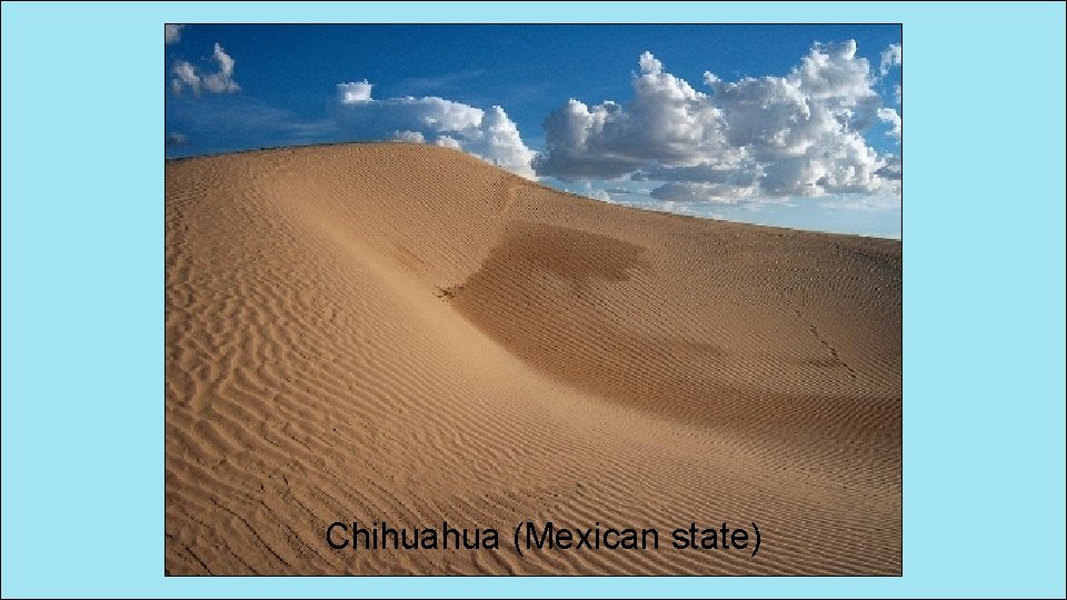 Chihuahua (Mexican state) 