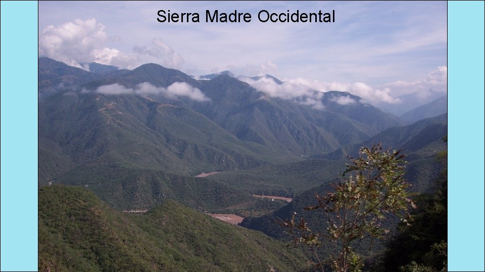 Sierra Madre Occidental 