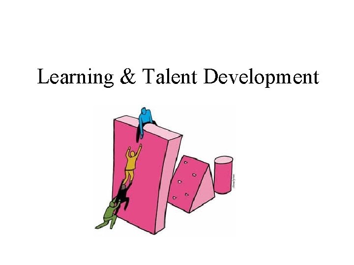 Learning & Talent Development 