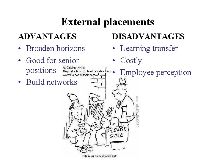 External placements ADVANTAGES • Broaden horizons • Good for senior positions • Build networks