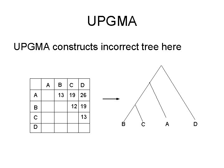 UPGMA constructs incorrect tree here A B C D A 13 19 26 B