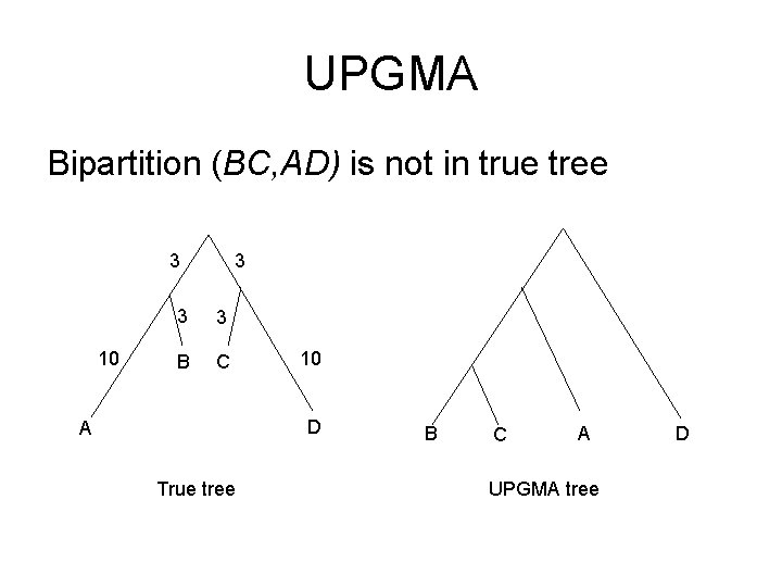 UPGMA Bipartition (BC, AD) is not in true tree 3 10 3 3 3