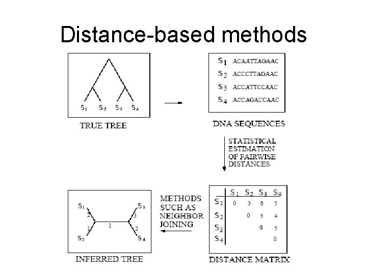 Distance-based methods 