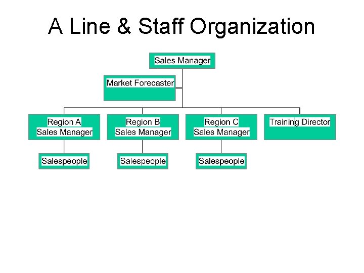 A Line & Staff Organization 