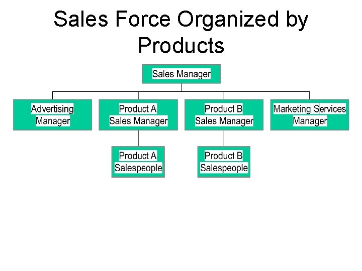 Sales Force Organized by Products 