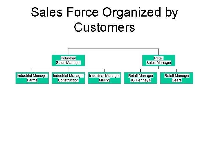 Sales Force Organized by Customers 