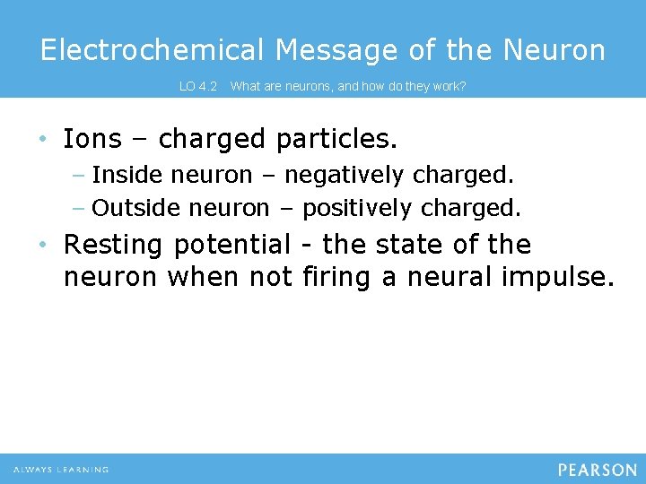 Electrochemical Message of the Neuron LO 4. 2 What are neurons, and how do
