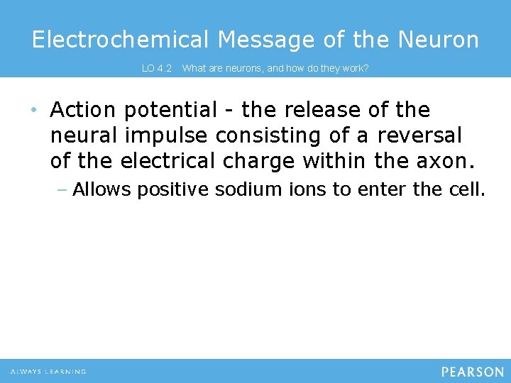 Electrochemical Message of the Neuron LO 4. 2 What are neurons, and how do