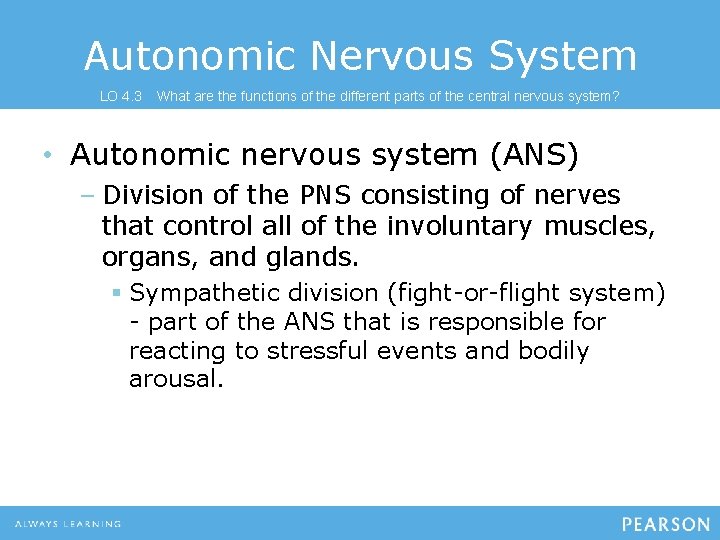 Autonomic Nervous System LO 4. 3 What are the functions of the different parts
