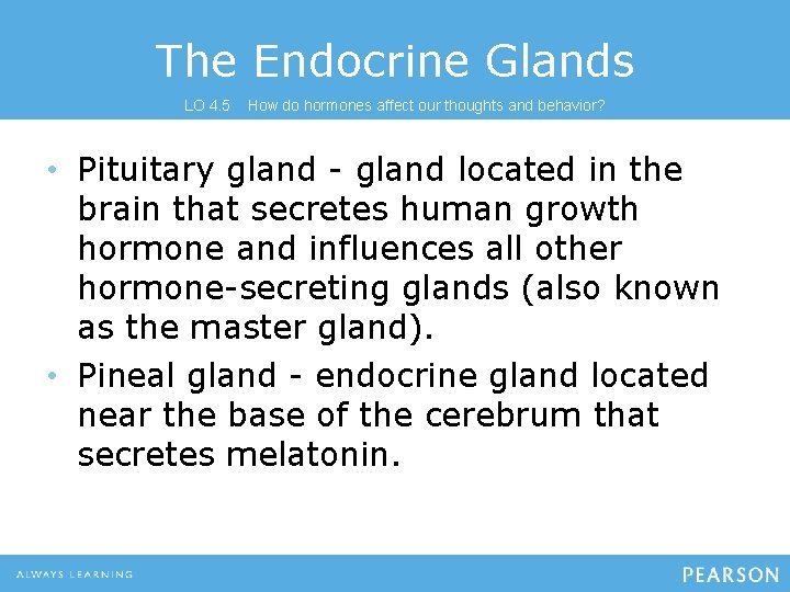 The Endocrine Glands LO 4. 5 How do hormones affect our thoughts and behavior?