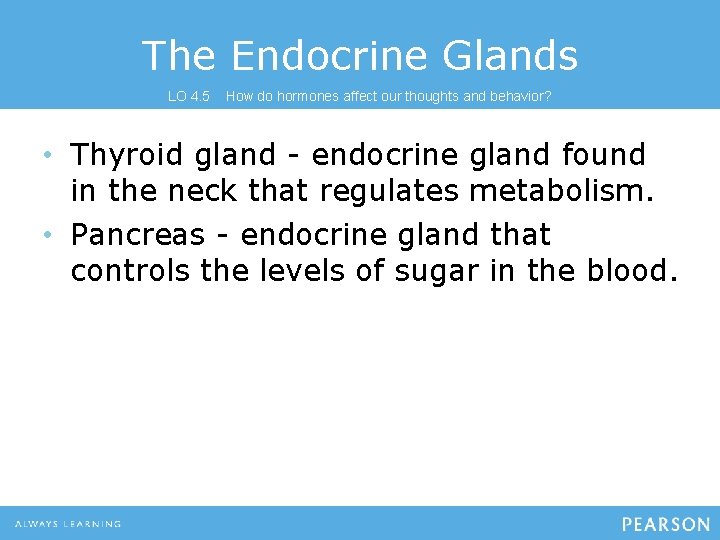 The Endocrine Glands LO 4. 5 How do hormones affect our thoughts and behavior?