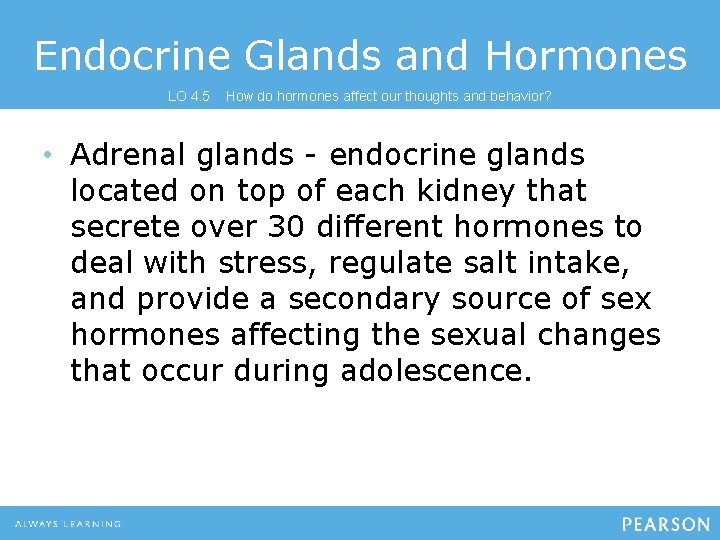 Endocrine Glands and Hormones LO 4. 5 How do hormones affect our thoughts and
