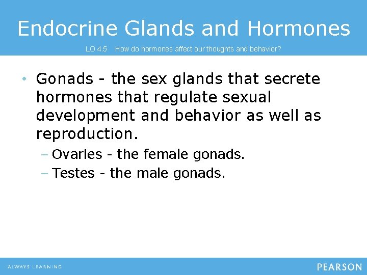 Endocrine Glands and Hormones LO 4. 5 How do hormones affect our thoughts and