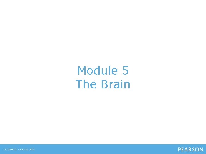 Module 5 The Brain 