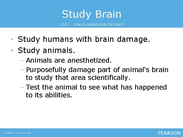 Study Brain LO 5. 1 How do people study the brain? • Study humans