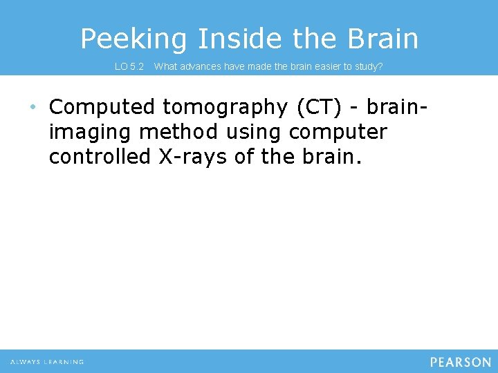 Peeking Inside the Brain LO 5. 2 What advances have made the brain easier
