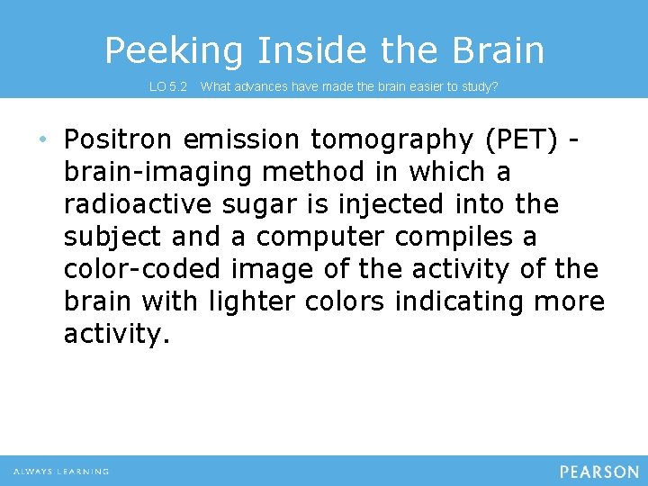Peeking Inside the Brain LO 5. 2 What advances have made the brain easier