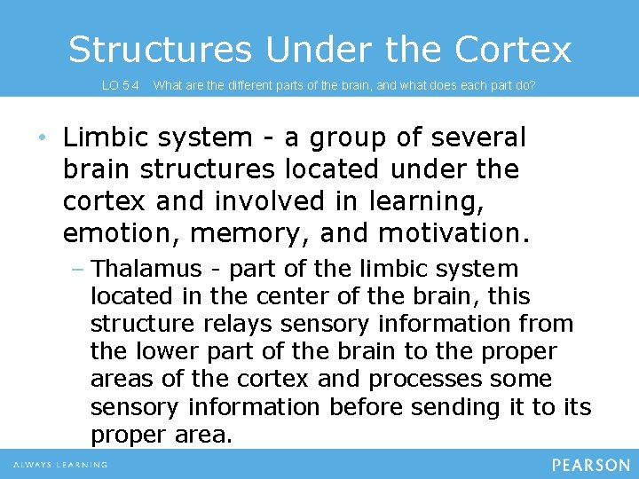 Structures Under the Cortex LO 5. 4 What are the different parts of the
