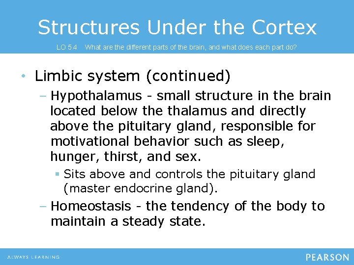 Structures Under the Cortex LO 5. 4 What are the different parts of the