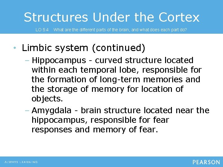Structures Under the Cortex LO 5. 4 What are the different parts of the