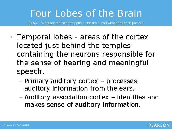 Four Lobes of the Brain LO 5. 4 What are the different parts of