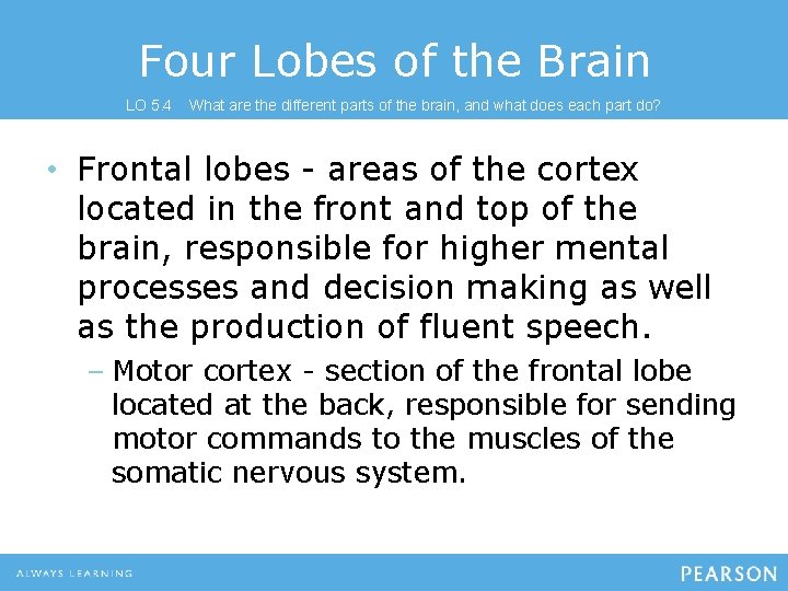 Four Lobes of the Brain LO 5. 4 What are the different parts of
