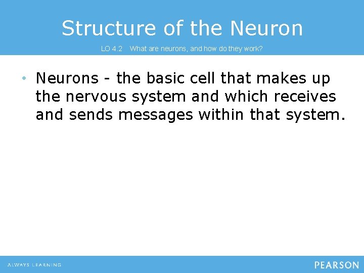 Structure of the Neuron LO 4. 2 What are neurons, and how do they