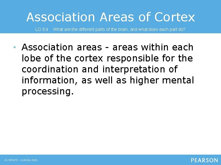 Association Areas of Cortex LO 5. 4 What are the different parts of the