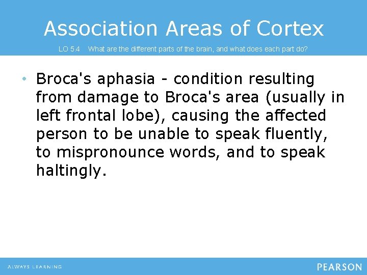 Association Areas of Cortex LO 5. 4 What are the different parts of the