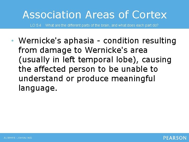 Association Areas of Cortex LO 5. 4 What are the different parts of the