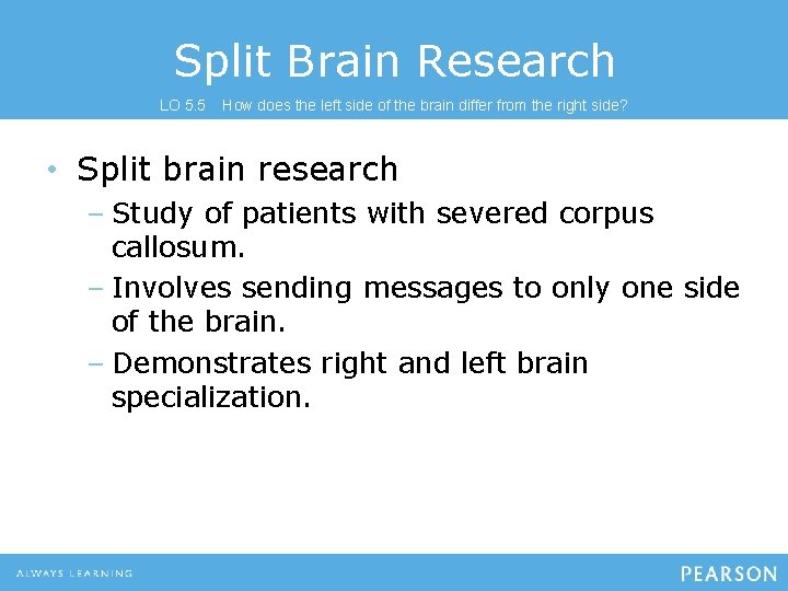 Split Brain Research LO 5. 5 How does the left side of the brain