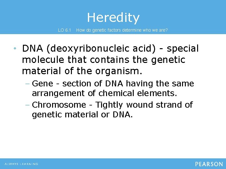 Heredity LO 6. 1 How do genetic factors determine who we are? • DNA