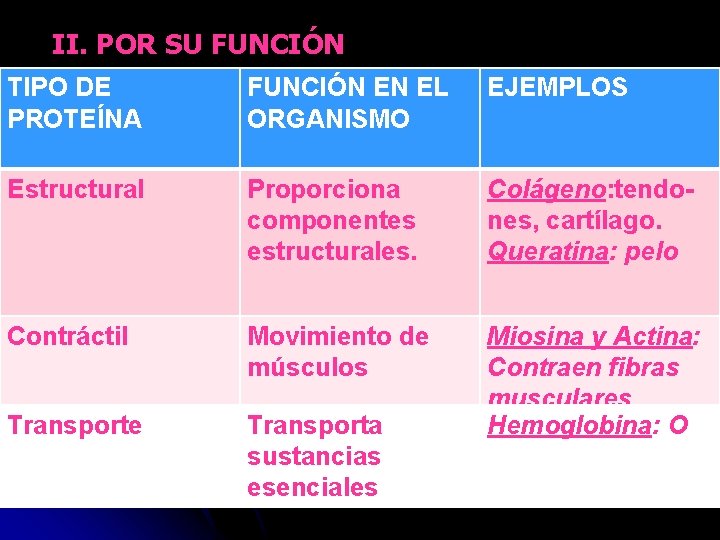 II. POR SU FUNCIÓN TIPO DE PROTEÍNA FUNCIÓN EN EL ORGANISMO EJEMPLOS Estructural Proporciona