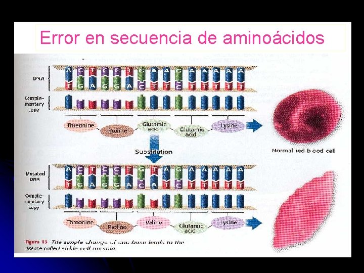 Error en secuencia de aminoácidos 
