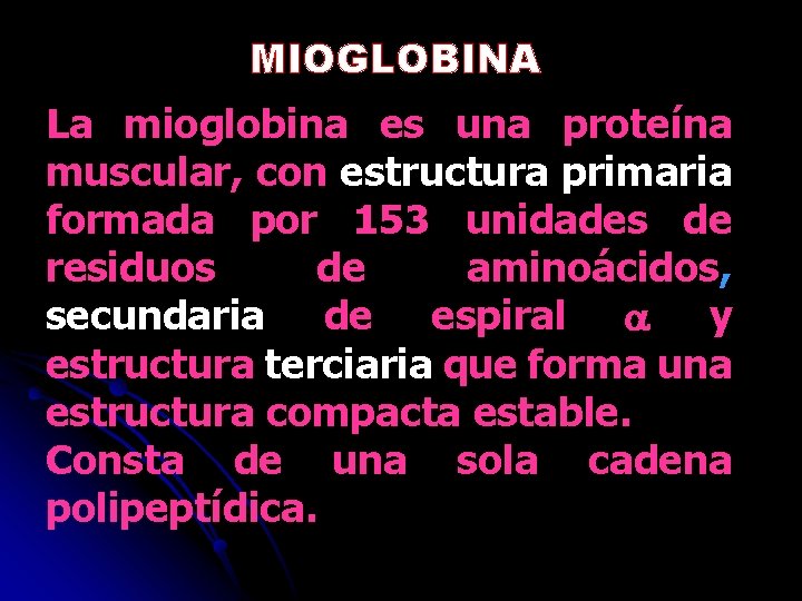 MIOGLOBINA La mioglobina es una proteína muscular, con estructura primaria formada por 153 unidades