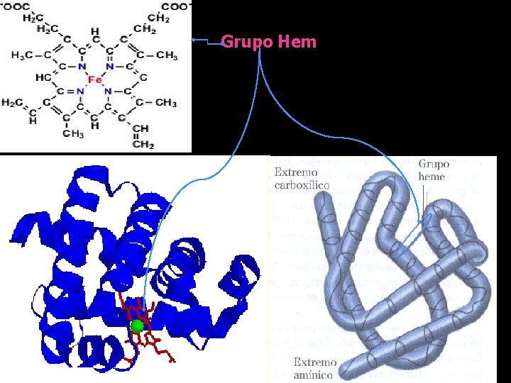 Grupo Hem 