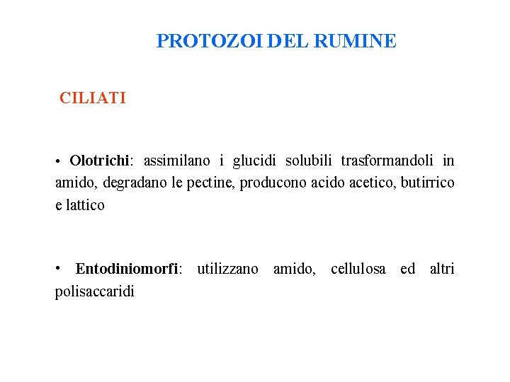 PROTOZOI DEL RUMINE CILIATI • Olotrichi: assimilano i glucidi solubili trasformandoli in amido, degradano